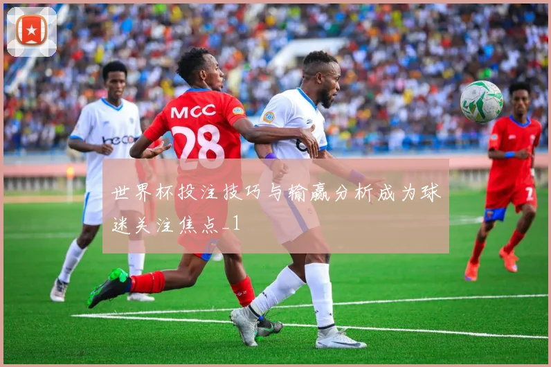 世界杯投注技巧与输赢分析成为球迷关注焦点_1