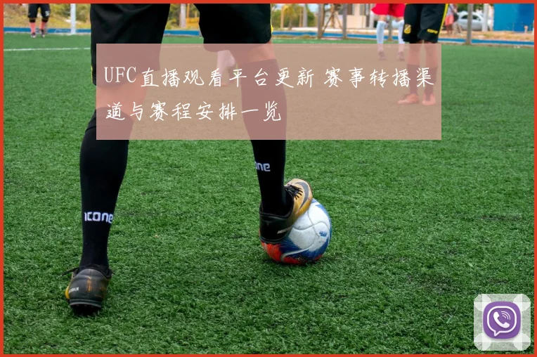 UFC直播观看平台更新 赛事转播渠道与赛程安排一览