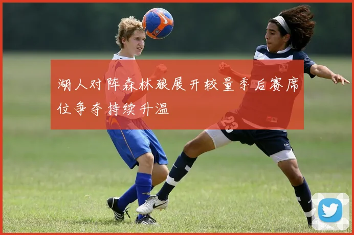 湖人对阵森林狼展开较量季后赛席位争夺持续升温